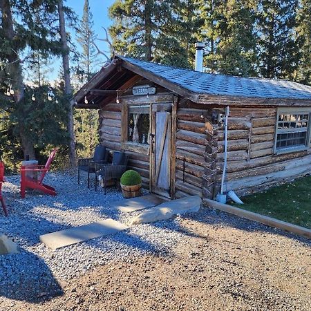 100 Year Old Log Cabin Motel Waiporous Village Exterior photo